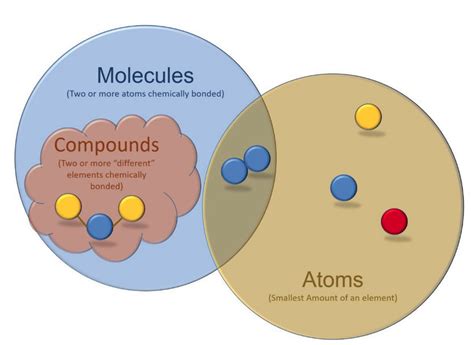 The Molecules That Make Me Unique | NSTA