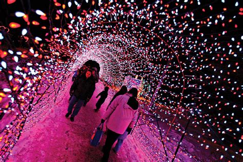 The Calgary Zoo Lights Up