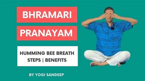 Bhramari Pranayama (Bee Breath): Steps, Benefits, Precautions