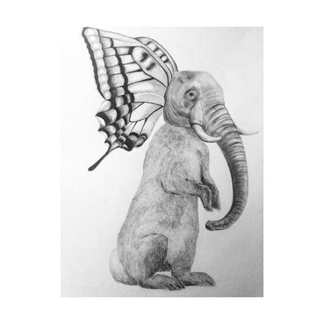 Drawing practice- hybrid animal | Animal art projects, Animal drawings ...