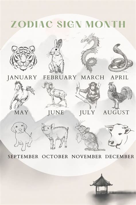 Chinese zodiac signs, Zodiac Animal, Zodiac compatibility, Chinese ...