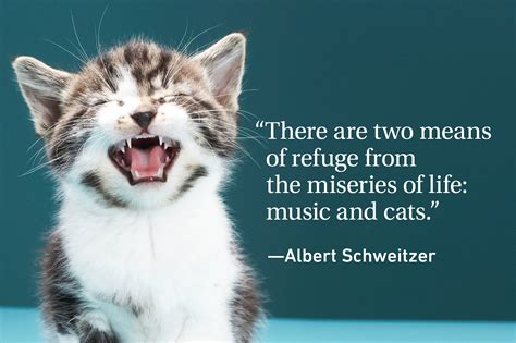 Cat Quotes Every Cat Owner Can Appreciate | Reader's Digest