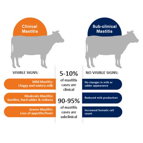 Herbal And Probiotic Supplements For Addressing Mastitis