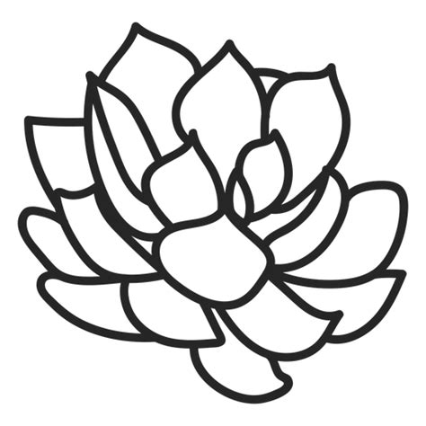 Plants succulents colorless illustration - Transparent PNG & SVG vector ...