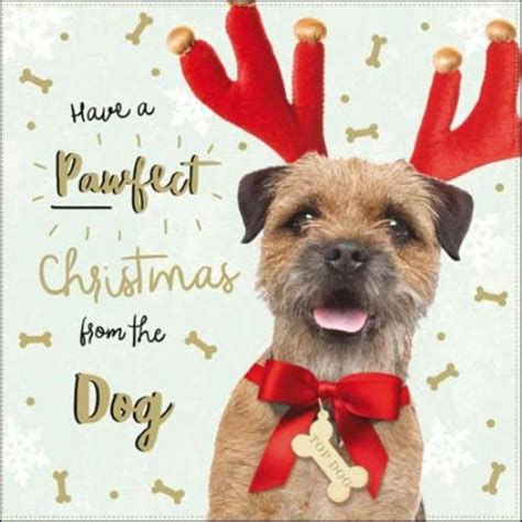 From The Dog Christmas Greeting Card | Christmas dog, Christmas animals ...