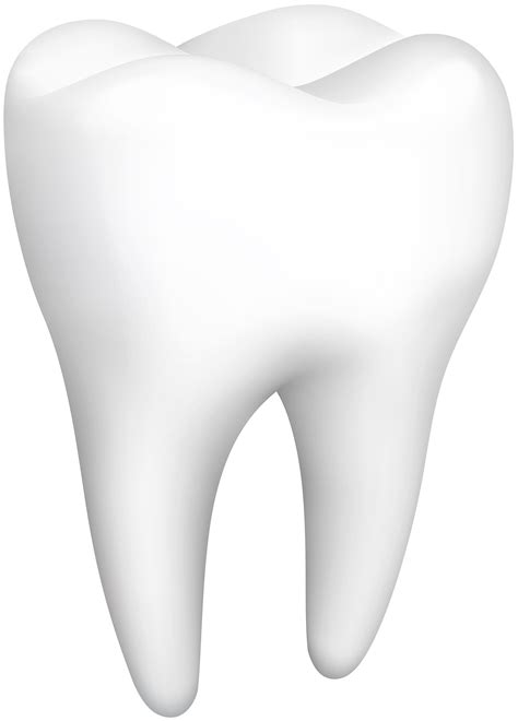 Tooth PNG Clip Art - Best WEB Clipart