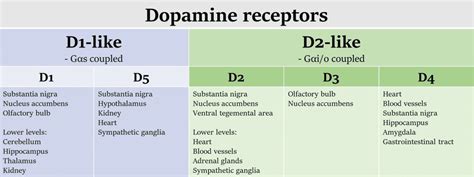 Dopamine Receptor and Cancer