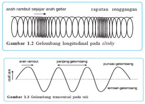 All About Science: Getaran, Bunyi, dan Gelombang