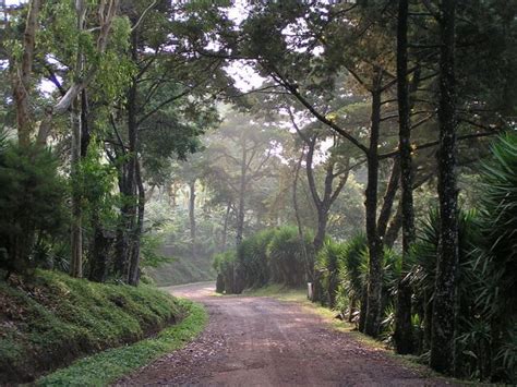 Hiking 'La Selva Negra', the Cloud Forest of Nicaragua | Jack and Jill ...