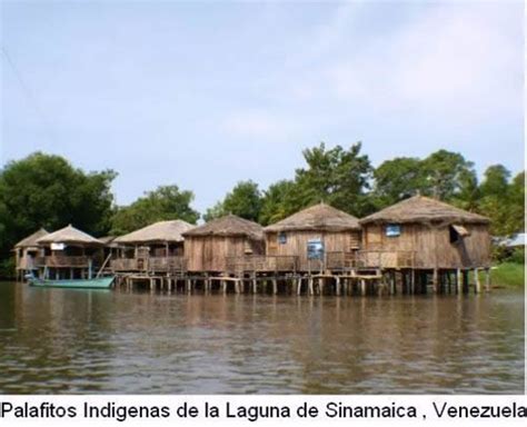 Palafitos indigenas _ Venezuela | Water house, Beautiful sites, House ...