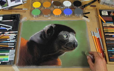 Wildlife Painting Kit - Jason Morgan (10 Colors) - Pan Pastel