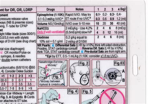 NRP neonatal Resuscitation Program SURVIVAL CARD Quick Reference Guide ...