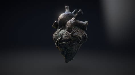 "Wounded Heart" sculpture by Steve Little - 3D model by Peter Katz ...