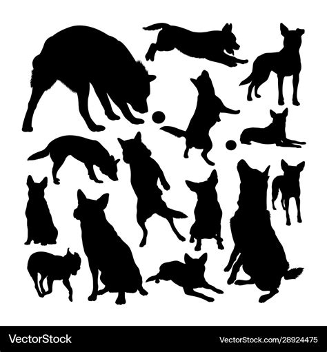 Australian cattle dog silhouettes Royalty Free Vector Image