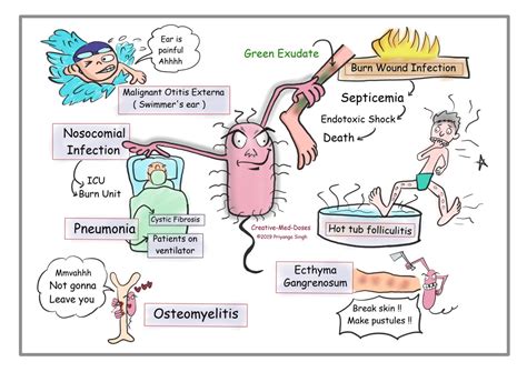 Pseudomonas aeruginosa: Nosocomial terrorist - Creative Med Doses