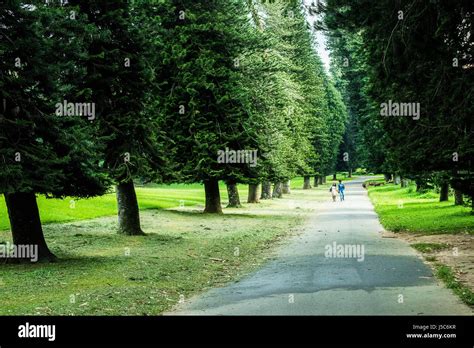 Kandy City, Sri Lanka Stock Photo - Alamy