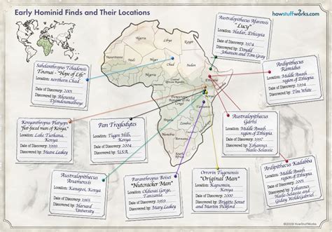 Early African Hominid Finds and Their Locations MAP | Hominid, Human ...