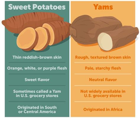 Sweet Potato vs Yam: What's the Difference? | Yams, Orange sweet ...