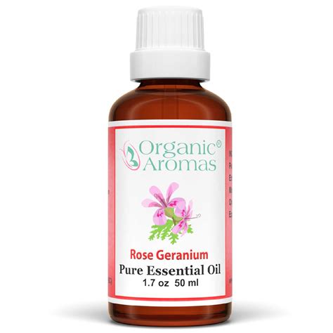 Rose Geranium Essential Oil | Benefits and Uses | Organic Aromas®