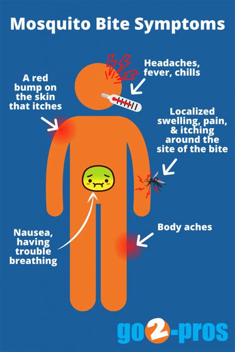 How To Stop Mosquito Bites From Itching - go2-pros