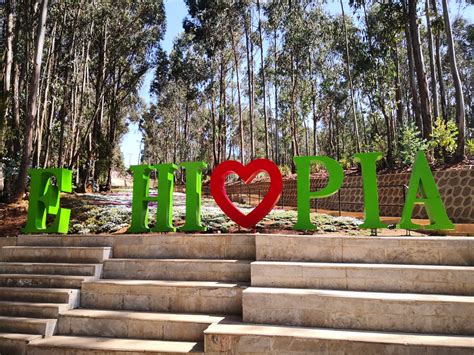 Entoto Natural Park - Inside Ethiopia Tours