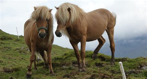 The Faroe Islands and their neighbor countries: NORA projects as an ...