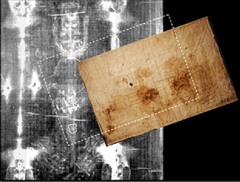 Figure 2 from New coincidence between Shroud of Turin and Sudarium of ...