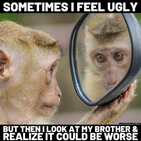 Funny Monkey Memes For Monkey Day 2020 - Digital Mom Blog