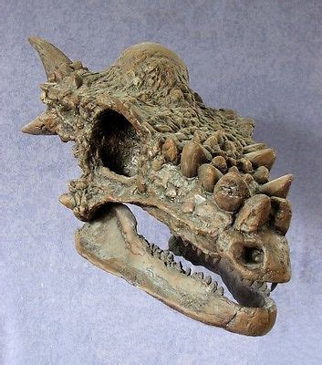 Dracorex Hogwartsia Skull Reconstruction Sculpture ... the ...