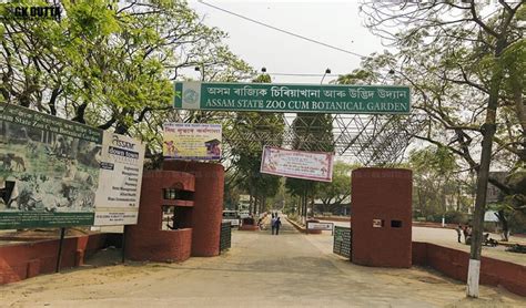 Guwahati zoo encourages healthy lifestyle among city residents