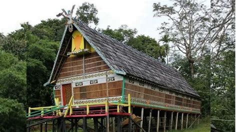 5 Rumah Adat Suku Dayak, Masyarakat Asli Calon Ibu Kota Baru