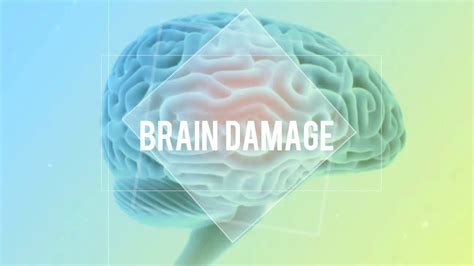 CAUSES OF BRAIN DAMAGE,SYMPTOMS AND CURE. - YouTube