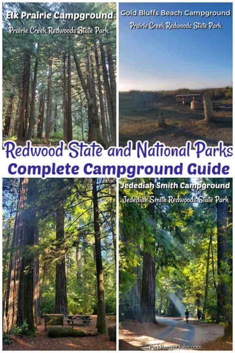 Redwood National Park Camping Guide | Park Ranger John