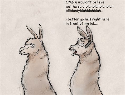 The Drama Llama by RobtheDoodler on DeviantArt