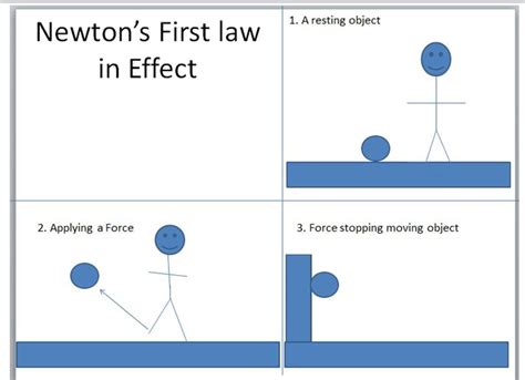 Newton's 1st Law: Elena