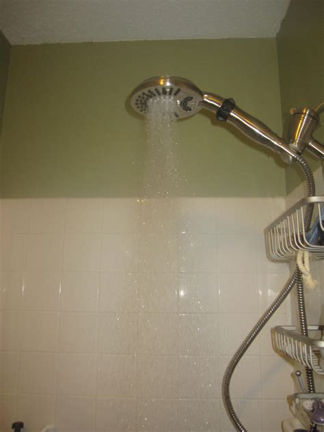 New Waterpik Shower Head! - Grinning Cheek to Cheek