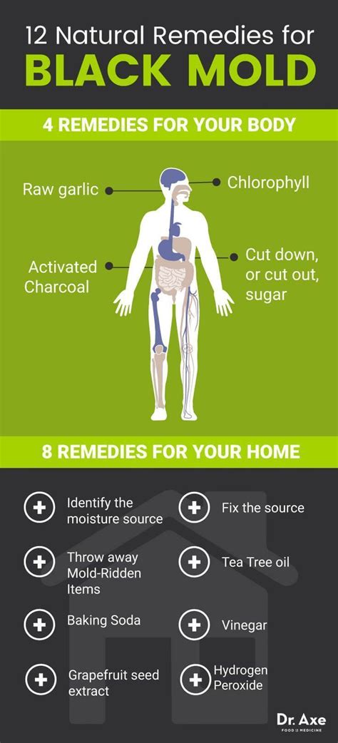 8 Signs You Need a Black Mold Detox | Mold exposure, Black mold ...