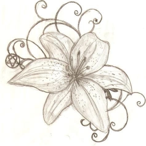 Lily Flower Tattoo Drawing at GetDrawings | Free download