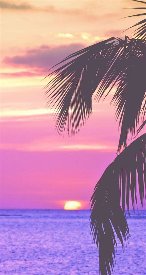 Palm Trees Wallpapers - Wallpaper Cave