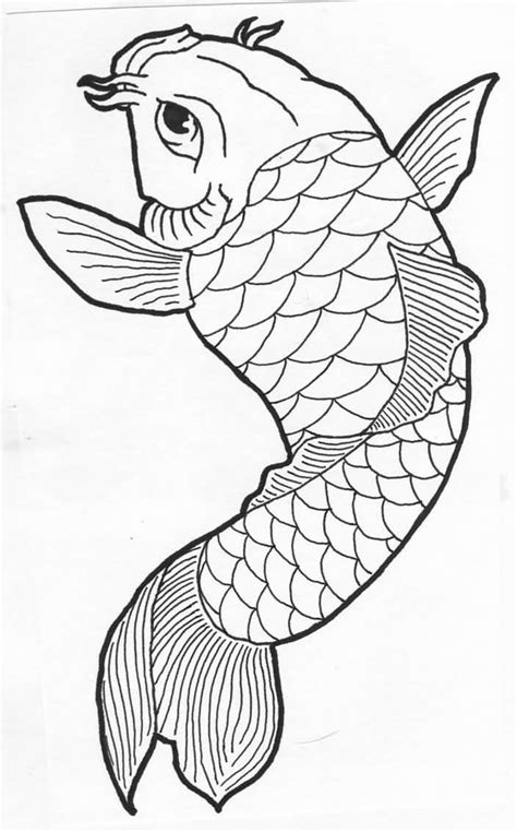 Simple Koi Fish Drawing at GetDrawings | Free download