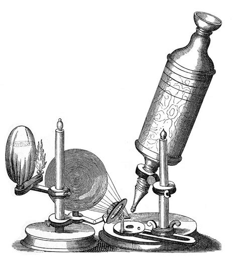 Robert Hooke Microscope Clip Art