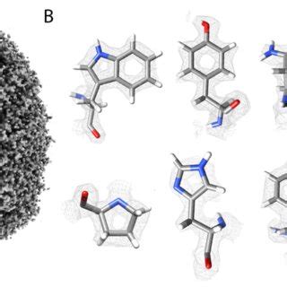 High resolution apoferritin reconstruction. A) Apoferritin density at ...