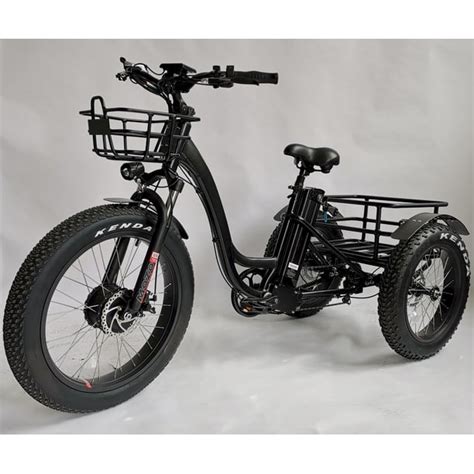 Adult Electric Trikes, Step-Thru Fat Tire Electric Tricycle, 750W 3 ...