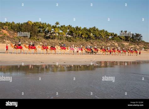 Cable beach camel broome hi-res stock photography and images - Alamy