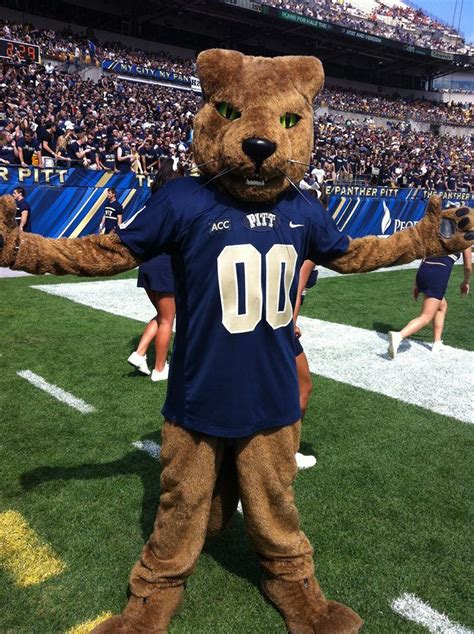 The Pitt Panther!!!! | University of pittsburgh football, Pitt panthers ...