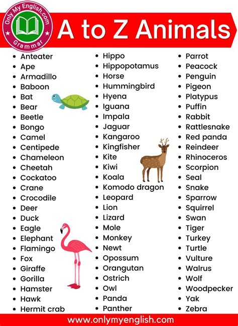 A to Z Animals Name List with Picture