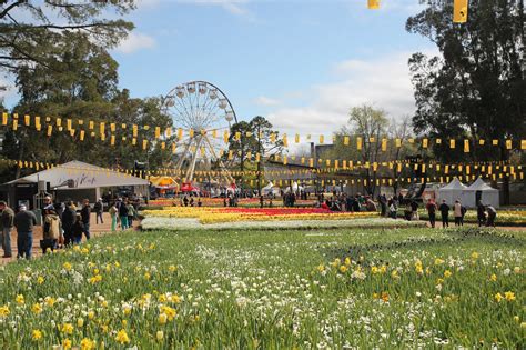 What to do at Floriade Canberra with kids - Family Travel