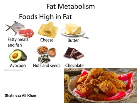 Fat metabolism | PPT