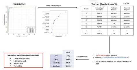 A Predictive Diagnostic Model for IgA Vasculitis Based on a Metabolomic ...