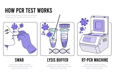 Efficacy of the two PCR kits for SARS-CoV-2 nucleic acid Detection ...